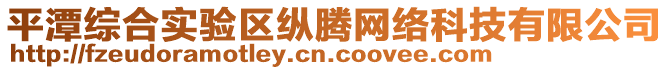 平潭綜合實驗區(qū)縱騰網(wǎng)絡(luò)科技有限公司