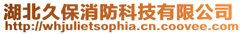 湖北久保消防科技有限公司