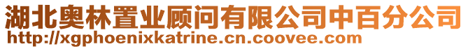 湖北奧林置業(yè)顧問有限公司中百分公司