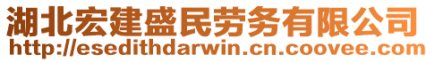 湖北宏建盛民勞務(wù)有限公司