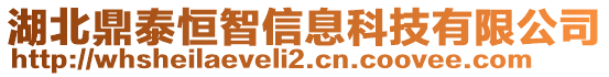 湖北鼎泰恒智信息科技有限公司