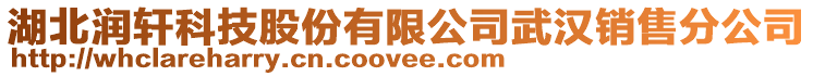 湖北潤軒科技股份有限公司武漢銷售分公司