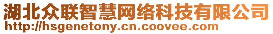 湖北眾聯(lián)智慧網(wǎng)絡科技有限公司