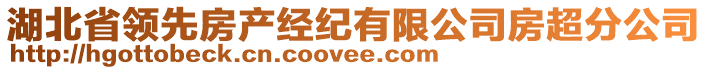 湖北省領(lǐng)先房產(chǎn)經(jīng)紀(jì)有限公司房超分公司