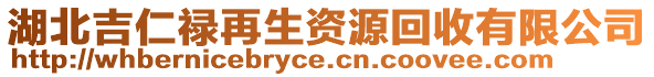 湖北吉仁祿再生資源回收有限公司