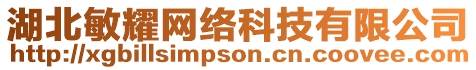 湖北敏耀網(wǎng)絡(luò)科技有限公司