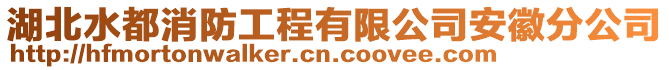 湖北水都消防工程有限公司安徽分公司