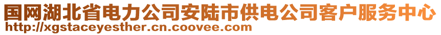 國(guó)網(wǎng)湖北省電力公司安陸市供電公司客戶(hù)服務(wù)中心