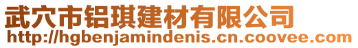 武穴市鋁琪建材有限公司