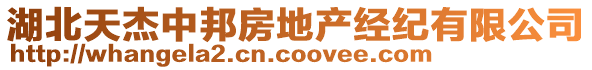 湖北天杰中邦房地產(chǎn)經(jīng)紀(jì)有限公司