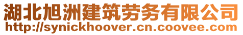 湖北旭洲建筑勞務有限公司