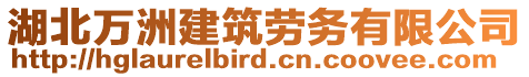 湖北萬洲建筑勞務(wù)有限公司