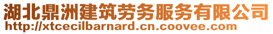 湖北鼎洲建筑劳务服务有限公司