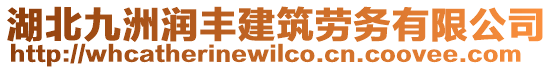 湖北九洲潤豐建筑勞務(wù)有限公司