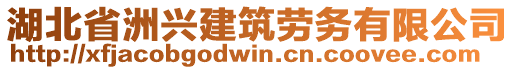 湖北省洲興建筑勞務(wù)有限公司