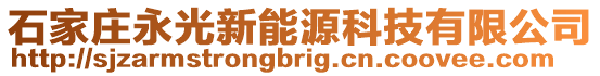 石家莊永光新能源科技有限公司