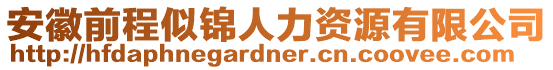 安徽前程似錦人力資源有限公司