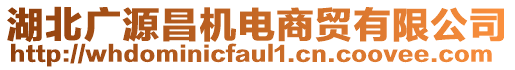 湖北广源昌机电商贸有限公司