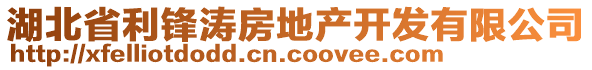 湖北省利鋒濤房地產(chǎn)開發(fā)有限公司