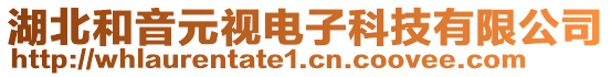 湖北和音元視電子科技有限公司