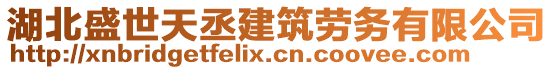 湖北盛世天丞建筑勞務(wù)有限公司