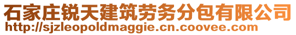 石家莊銳天建筑勞務(wù)分包有限公司