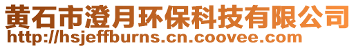 黃石市澄月環(huán)保科技有限公司