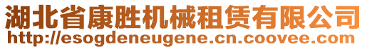 湖北省康勝機械租賃有限公司