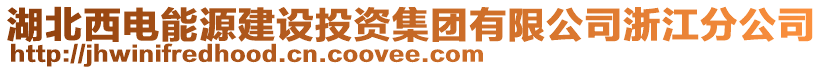 湖北西電能源建設投資集團有限公司浙江分公司