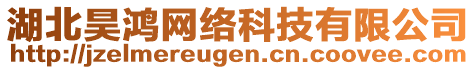 湖北昊鴻網(wǎng)絡(luò)科技有限公司