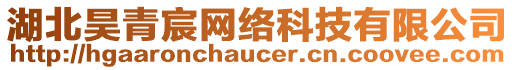 湖北昊青宸網(wǎng)絡(luò)科技有限公司