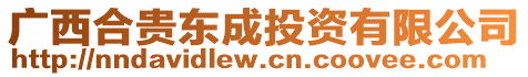 廣西合貴東成投資有限公司