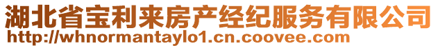 湖北省寶利來房產經紀服務有限公司