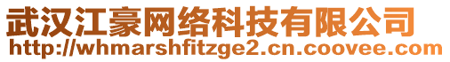 武漢江豪網(wǎng)絡科技有限公司