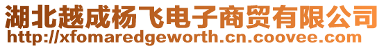 湖北越成楊飛電子商貿(mào)有限公司