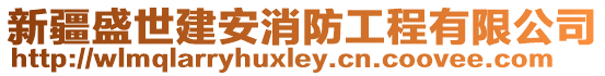 新疆盛世建安消防工程有限公司