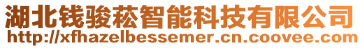 湖北錢駿菘智能科技有限公司