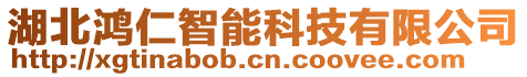 湖北鴻仁智能科技有限公司