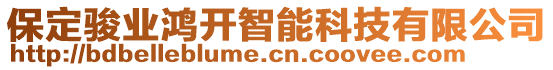 保定駿業(yè)鴻開智能科技有限公司