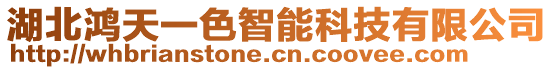 湖北鴻天一色智能科技有限公司