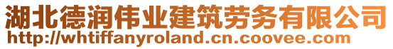 湖北德潤偉業(yè)建筑勞務有限公司