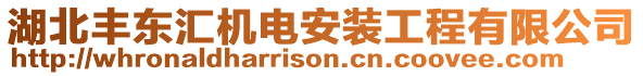 湖北豐東匯機電安裝工程有限公司