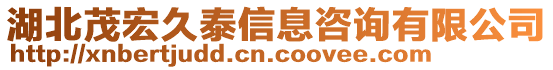 湖北茂宏久泰信息咨詢有限公司