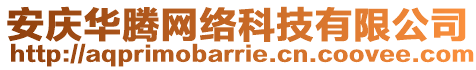 安庆华腾网络科技有限公司