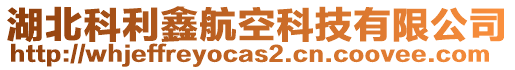 湖北科利鑫航空科技有限公司