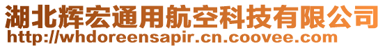 湖北輝宏通用航空科技有限公司