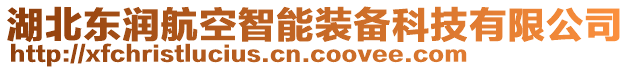 湖北東潤(rùn)航空智能裝備科技有限公司