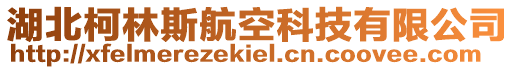 湖北柯林斯航空科技有限公司