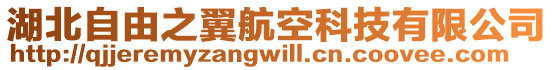 湖北自由之翼航空科技有限公司