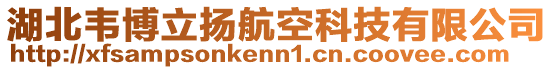 湖北韋博立揚(yáng)航空科技有限公司